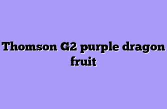 Thomson G2 purple dragon fruit