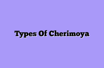 Types Of Cherimoya