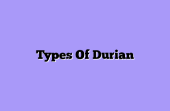 Types Of Durian