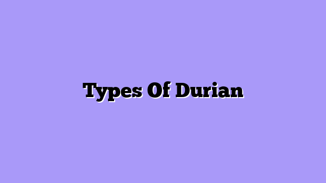 Types Of Durian