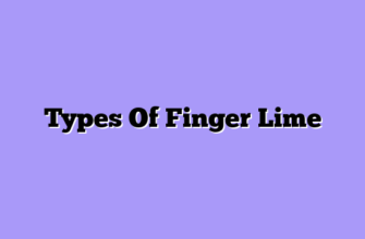 Types Of Finger Lime