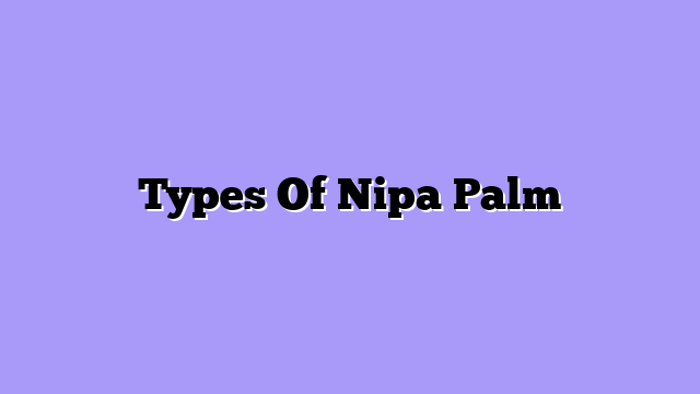Types Of Nipa Palm