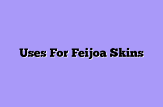 Uses For Feijoa Skins