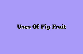 Uses Of Fig Fruit