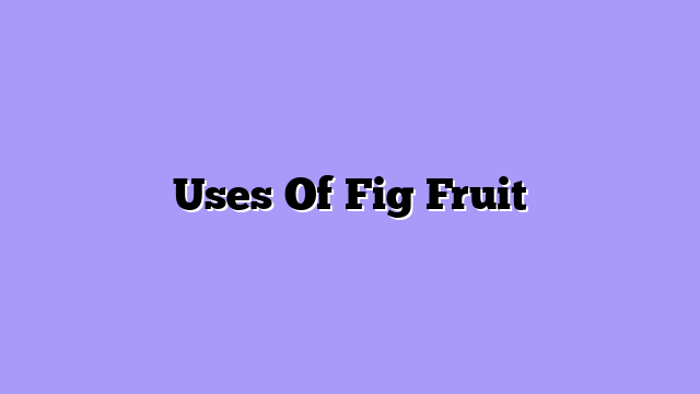 Uses Of Fig Fruit