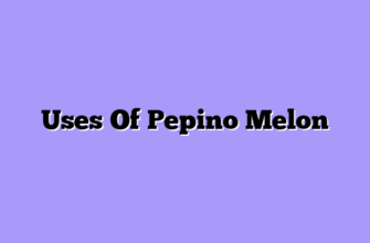 Uses Of Pepino Melon