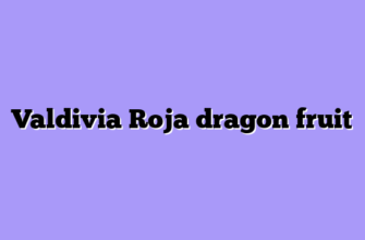 Valdivia Roja dragon fruit
