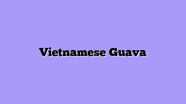 Vietnamese Guava