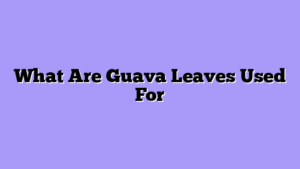 What Are Guava Leaves Used For