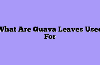 What Are Guava Leaves Used For