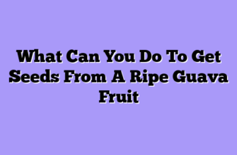 What Can You Do To Get Seeds From A Ripe Guava Fruit