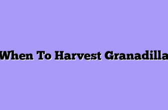 When To Harvest Granadilla