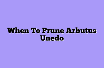 When To Prune Arbutus Unedo