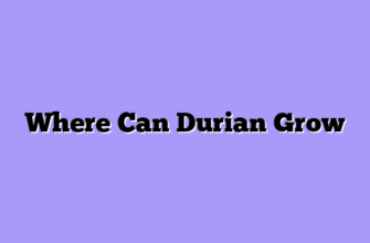 Where Can Durian Grow