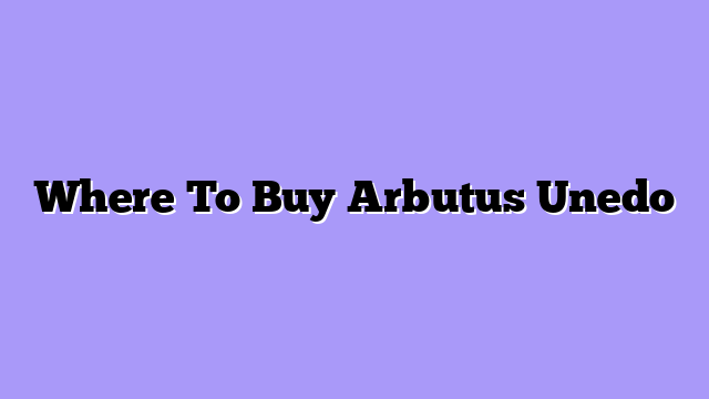 Where To Buy Arbutus Unedo
