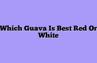 Which Guava Is Best Red Or White