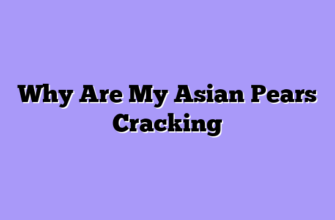 Why Are My Asian Pears Cracking
