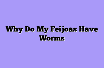 Why Do My Feijoas Have Worms