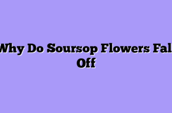 Why Do Soursop Flowers Fall Off