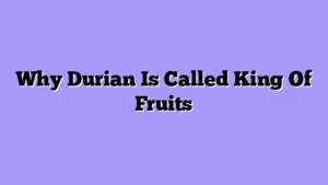 Why Durian Is Called King Of Fruits