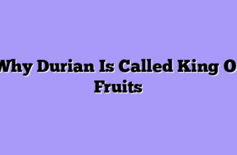 Why Durian Is Called King Of Fruits