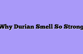 Why Durian Smell So Strong