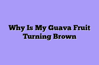 Why Is My Guava Fruit Turning Brown