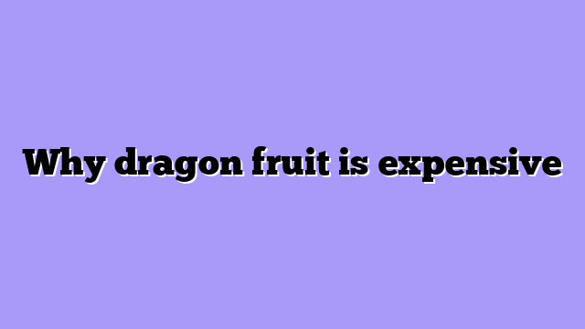 Why dragon fruit is expensive
