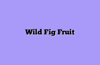 Wild Fig Fruit