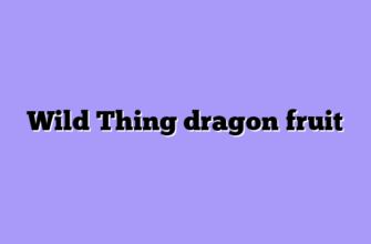 Wild Thing dragon fruit