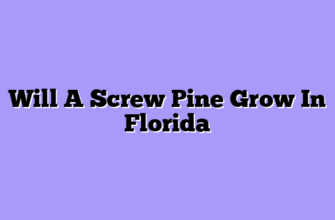 Will A Screw Pine Grow In Florida