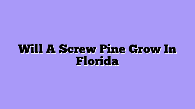 Will A Screw Pine Grow In Florida
