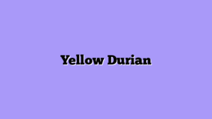 Yellow Durian