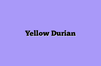 Yellow Durian