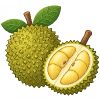 How to grow durian fruit