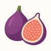 Fig fruit
